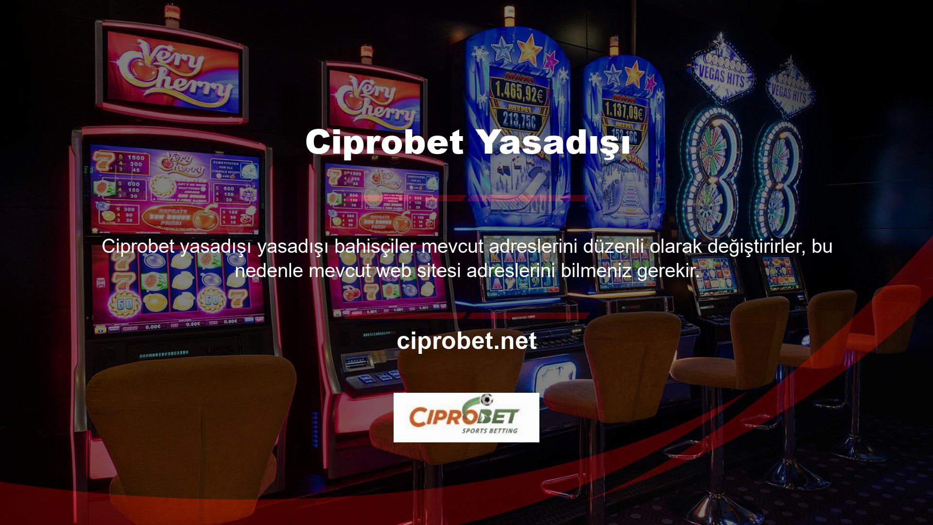 Ciprobet yasa dışı bir casino şirketidir ve tüm kullanıcılar için tek üyelik kaydı gerektirmektedir